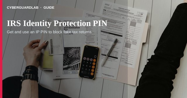 IRS Online Account screen highlighting the Identity Protection PIN section.