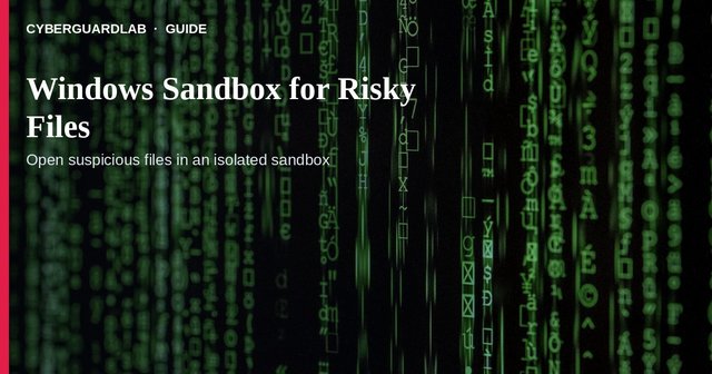 Windows Sandbox desktop with a suspicious file copied in for inspection.